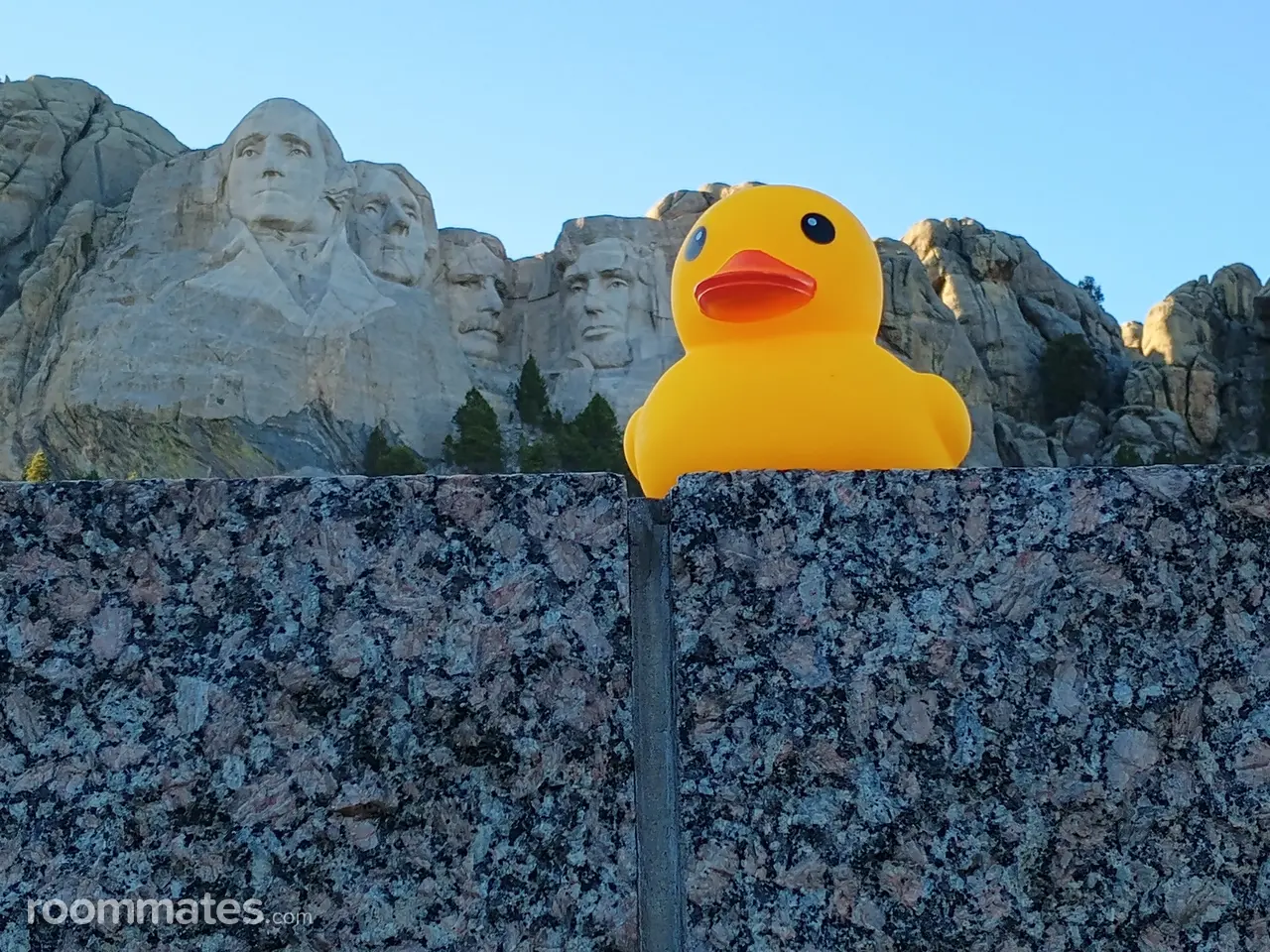 Profile photo 8 of 8