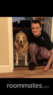 Roommate looking Tucson, AZ, $1000