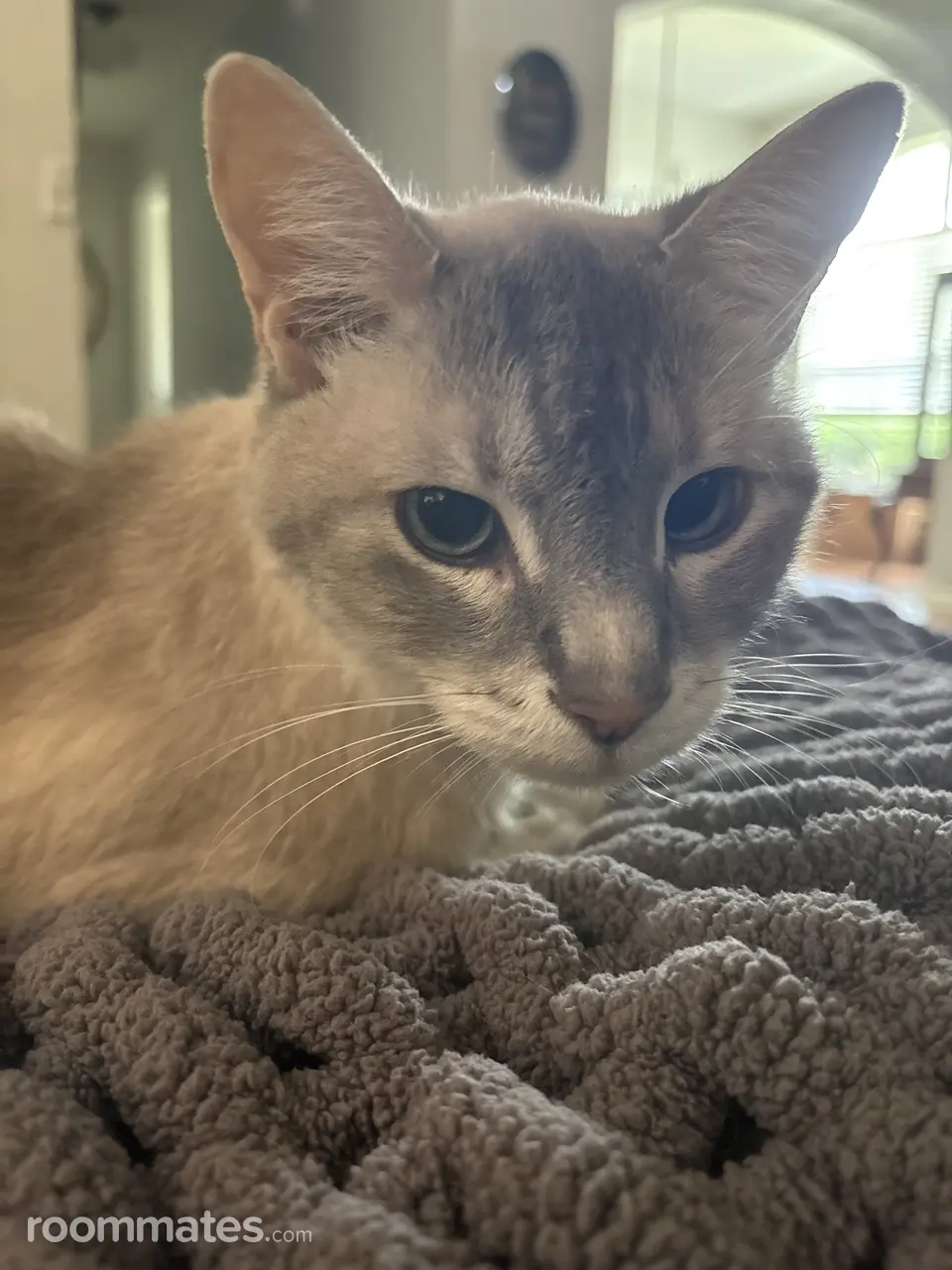 Profile photo 5 of 5