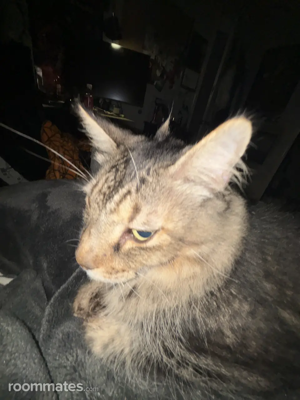 Profile photo 4 of 5