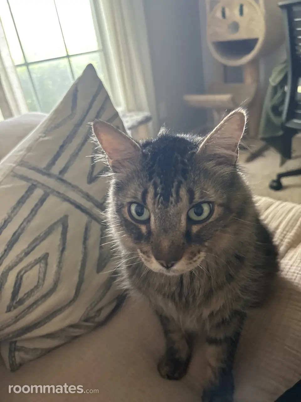 Profile photo 2 of 5