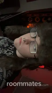 Roommate looking Jacksonville, FL, $1000