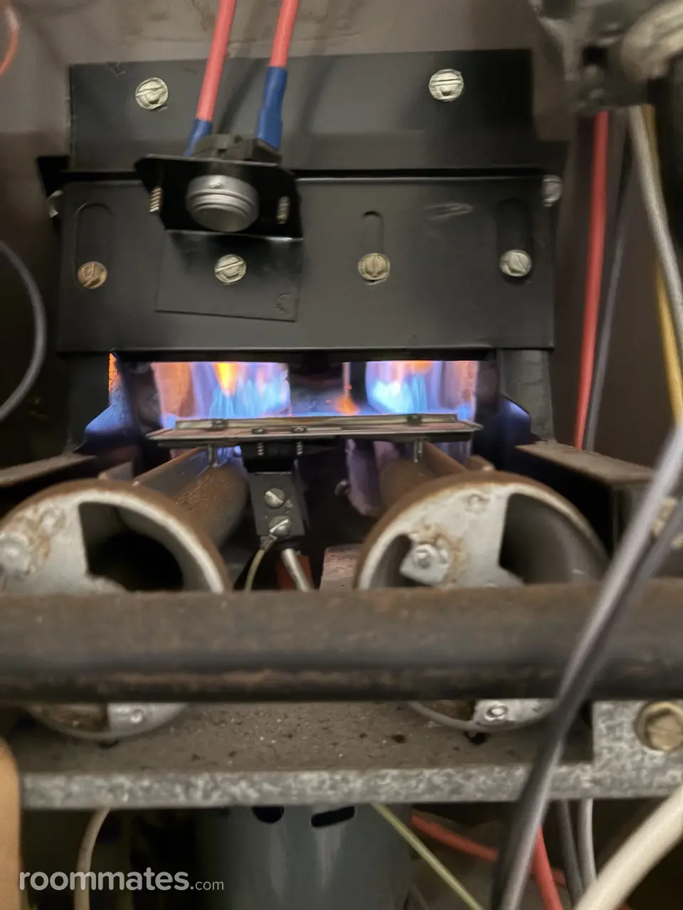 Profile photo 17 of 21