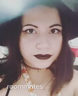 Roommate looking Tucson, AZ, $800