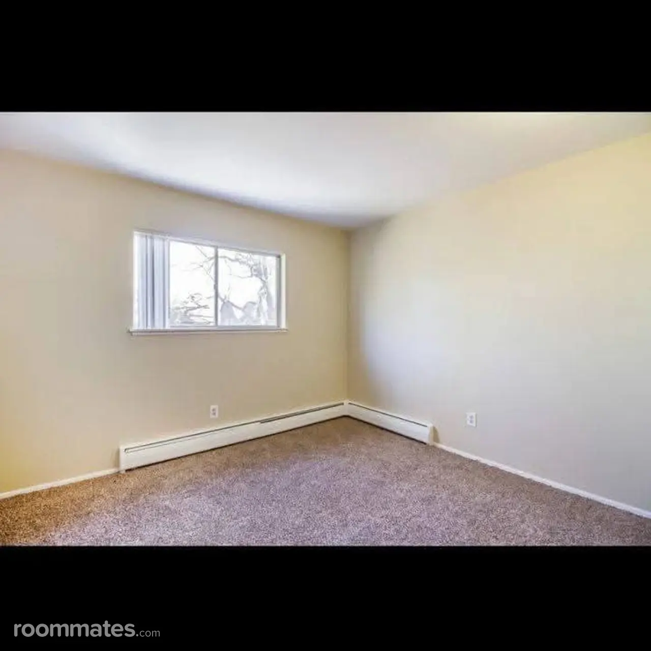 Profile photo 17 of 21