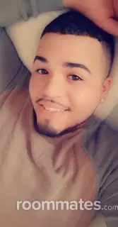 Roommate looking Willis, MI, $600