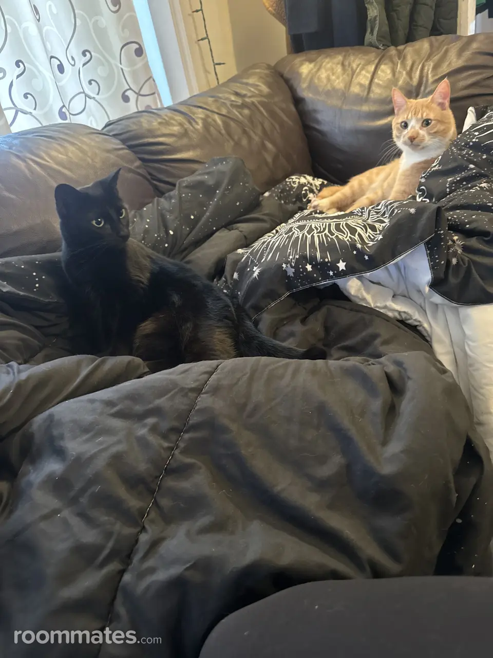 Profile photo 2 of 2