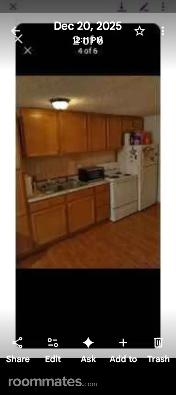 Profile photo 4 of 11