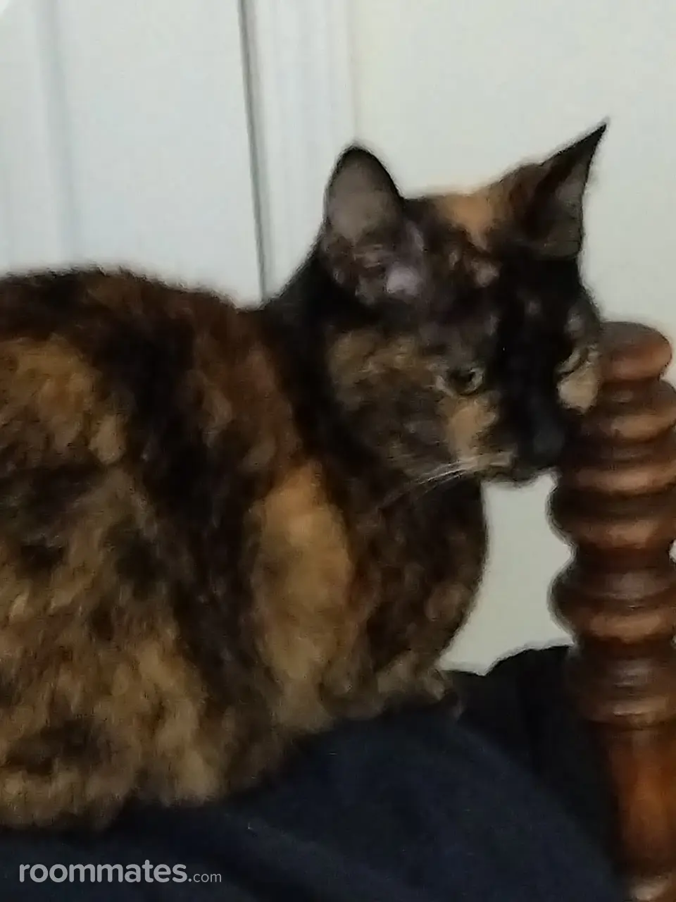 Profile photo 10 of 11