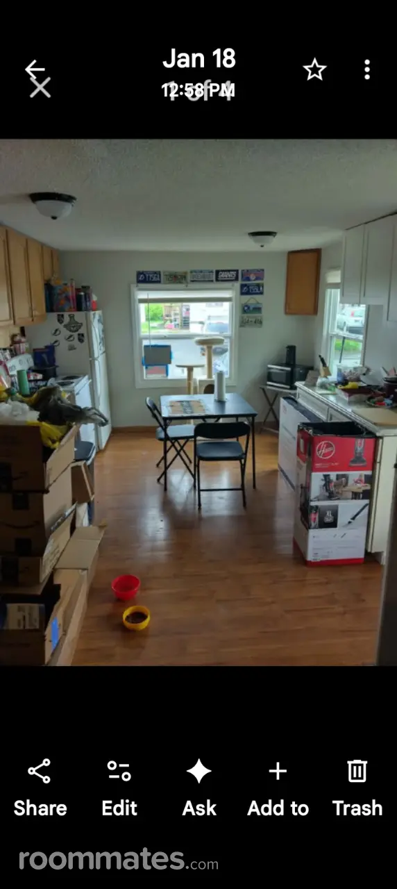 Profile photo 3 of 11