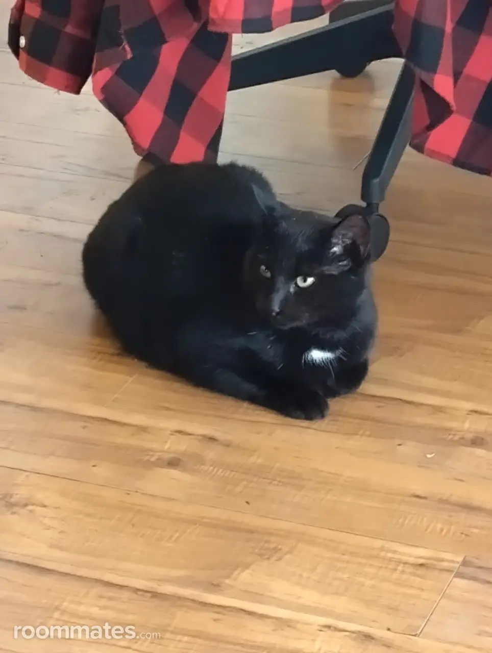 Profile photo 9 of 11