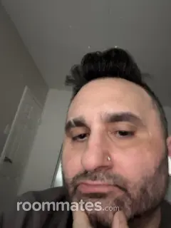 Roommate looking Philadelphia, PA, $500