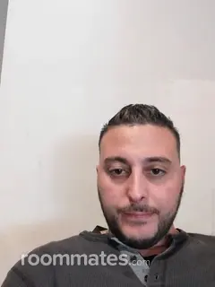 Roommate looking New Haven, CT, $800