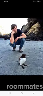 Roommate looking Oakland, CA, $1200