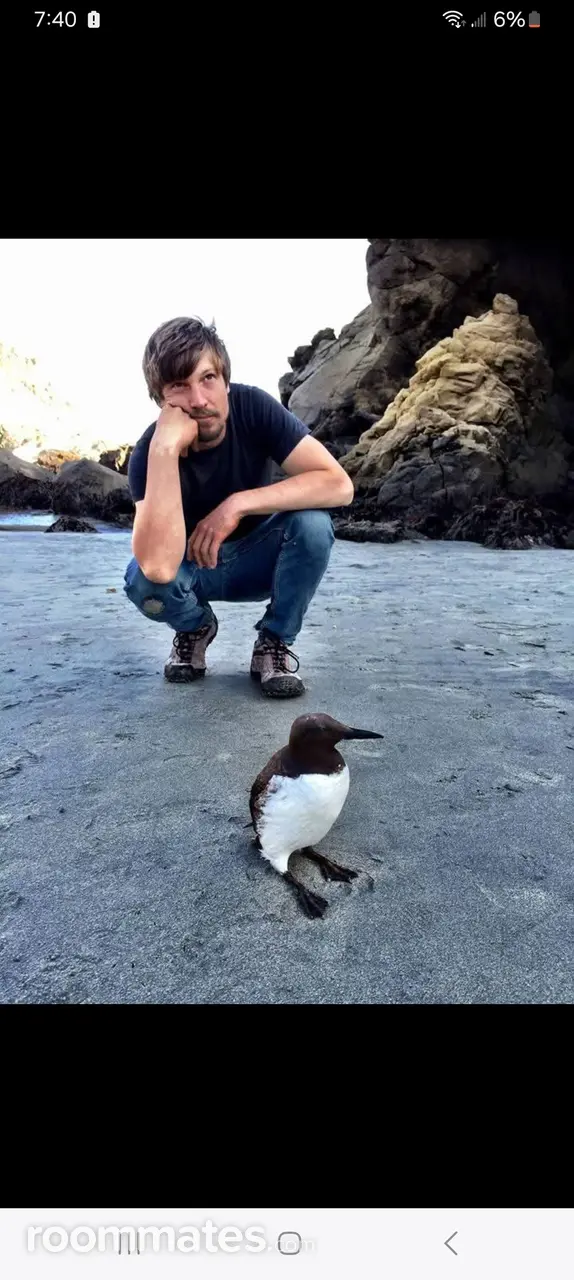 Profile photo 1 of 1