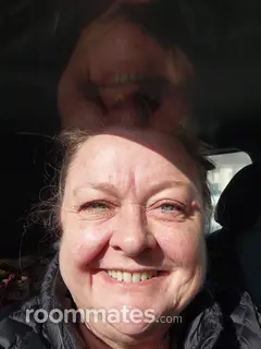 Roommate looking Trenton, MI, $500