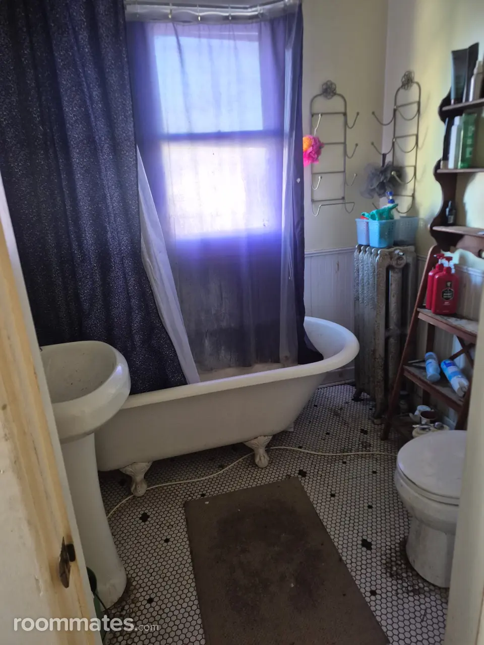 Profile photo 5 of 16