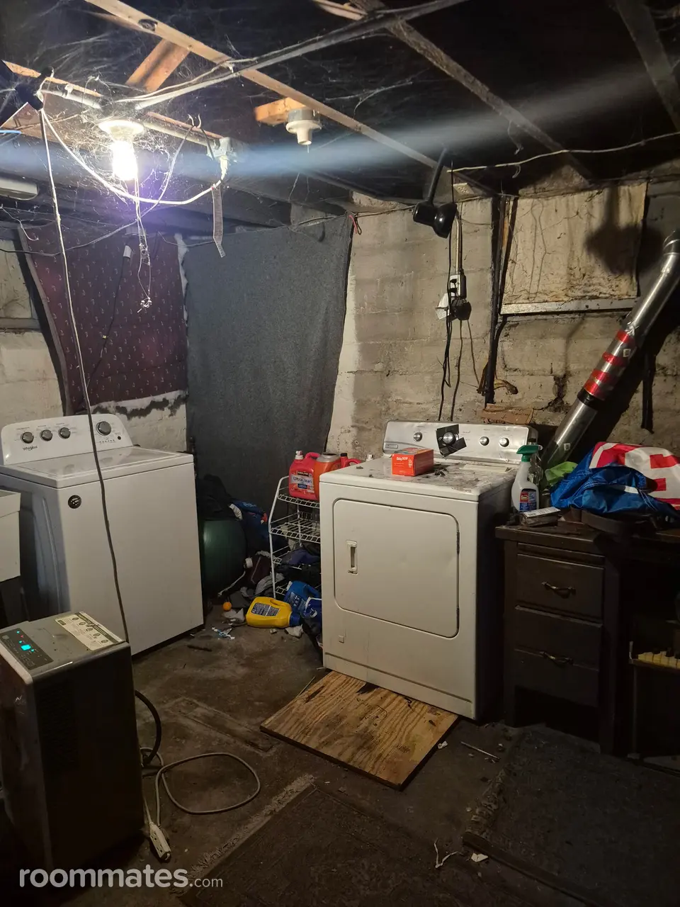 Profile photo 8 of 16