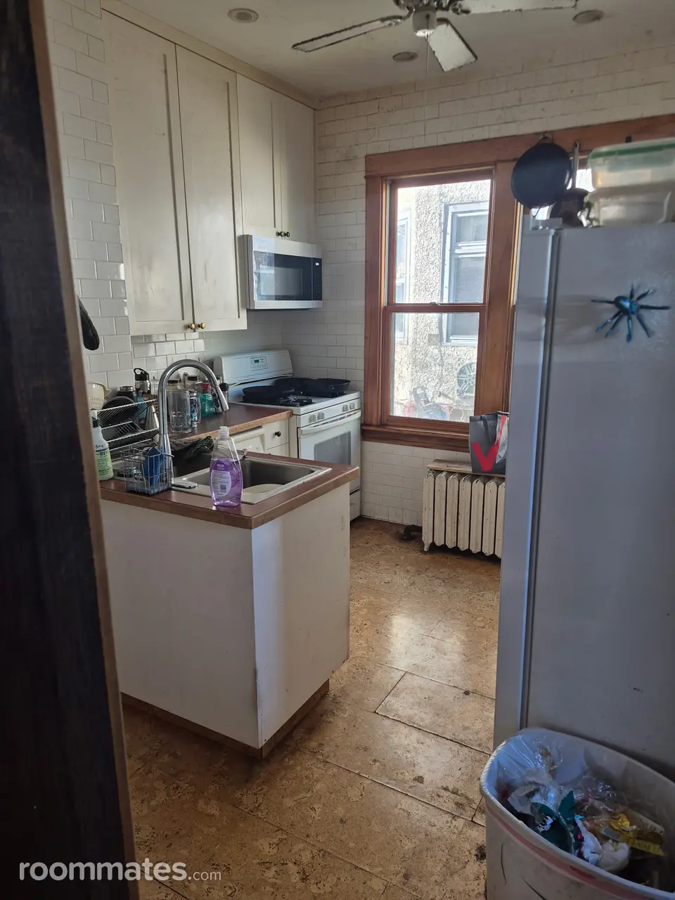 Profile photo 10 of 16