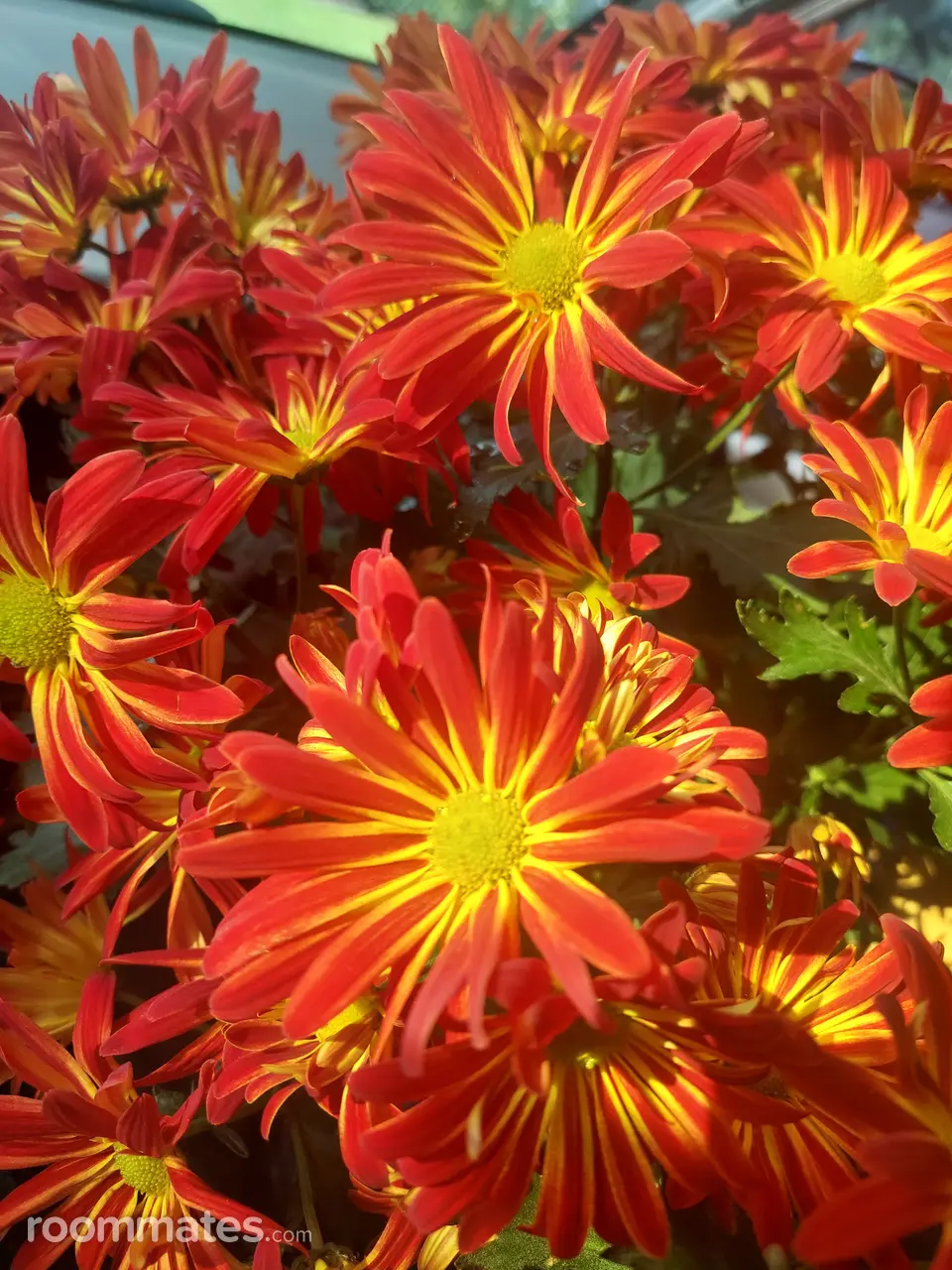 Profile photo 1 of 1