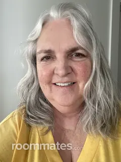 Roommate looking Lombard, IL, $1100