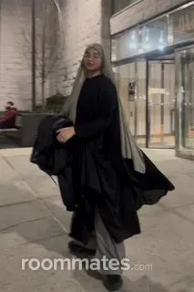 Roommate looking Queens, NY, $900