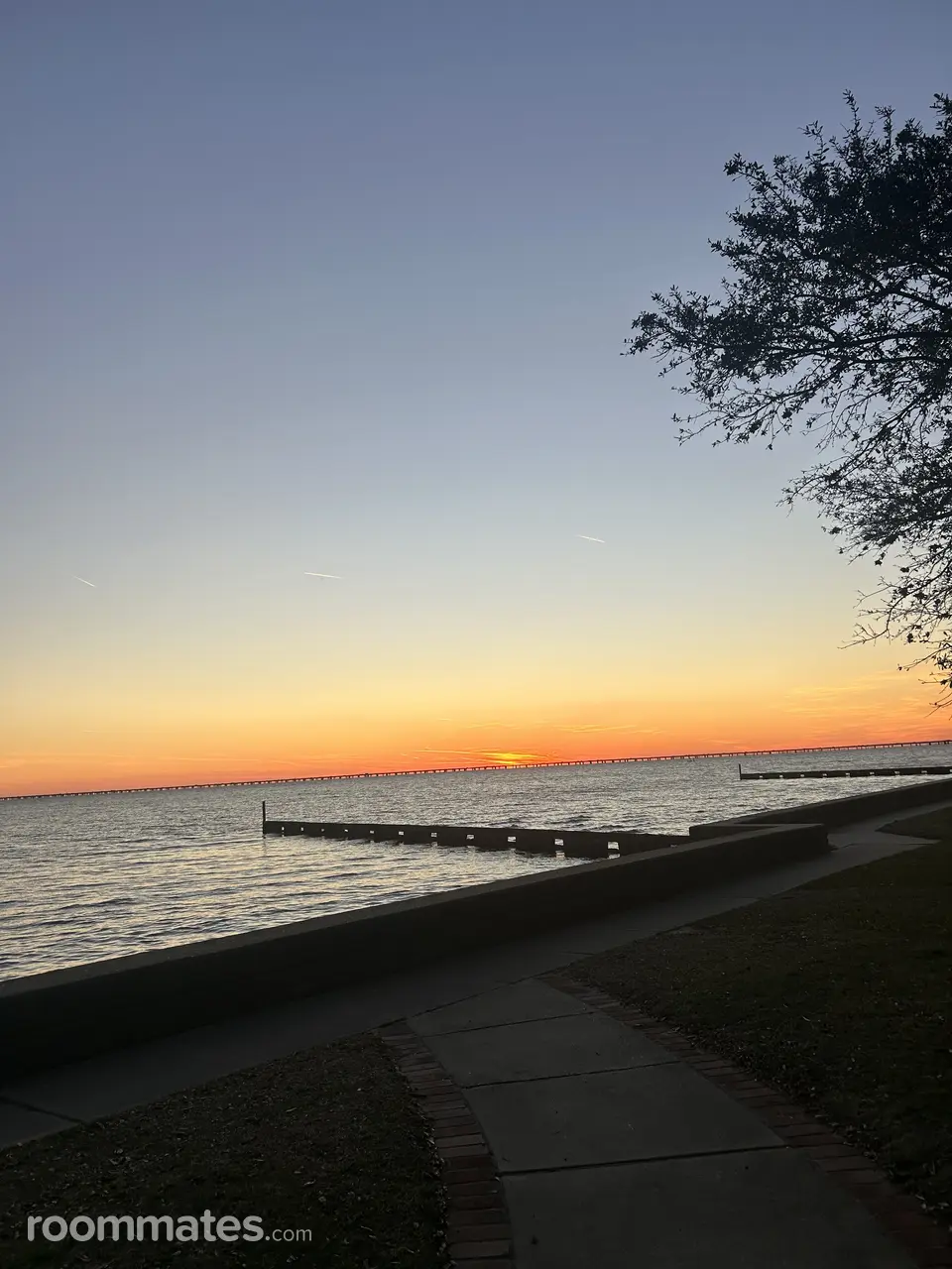 Profile photo 10 of 10