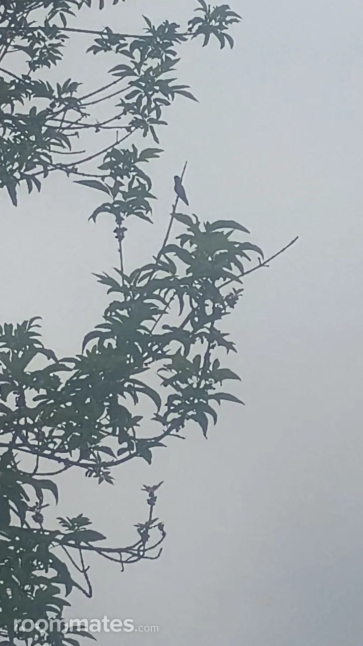 Profile photo 1 of 1