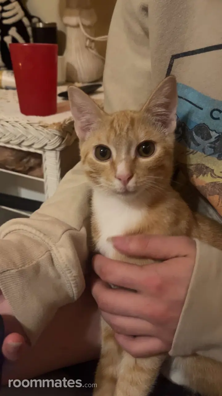 Profile photo 6 of 6