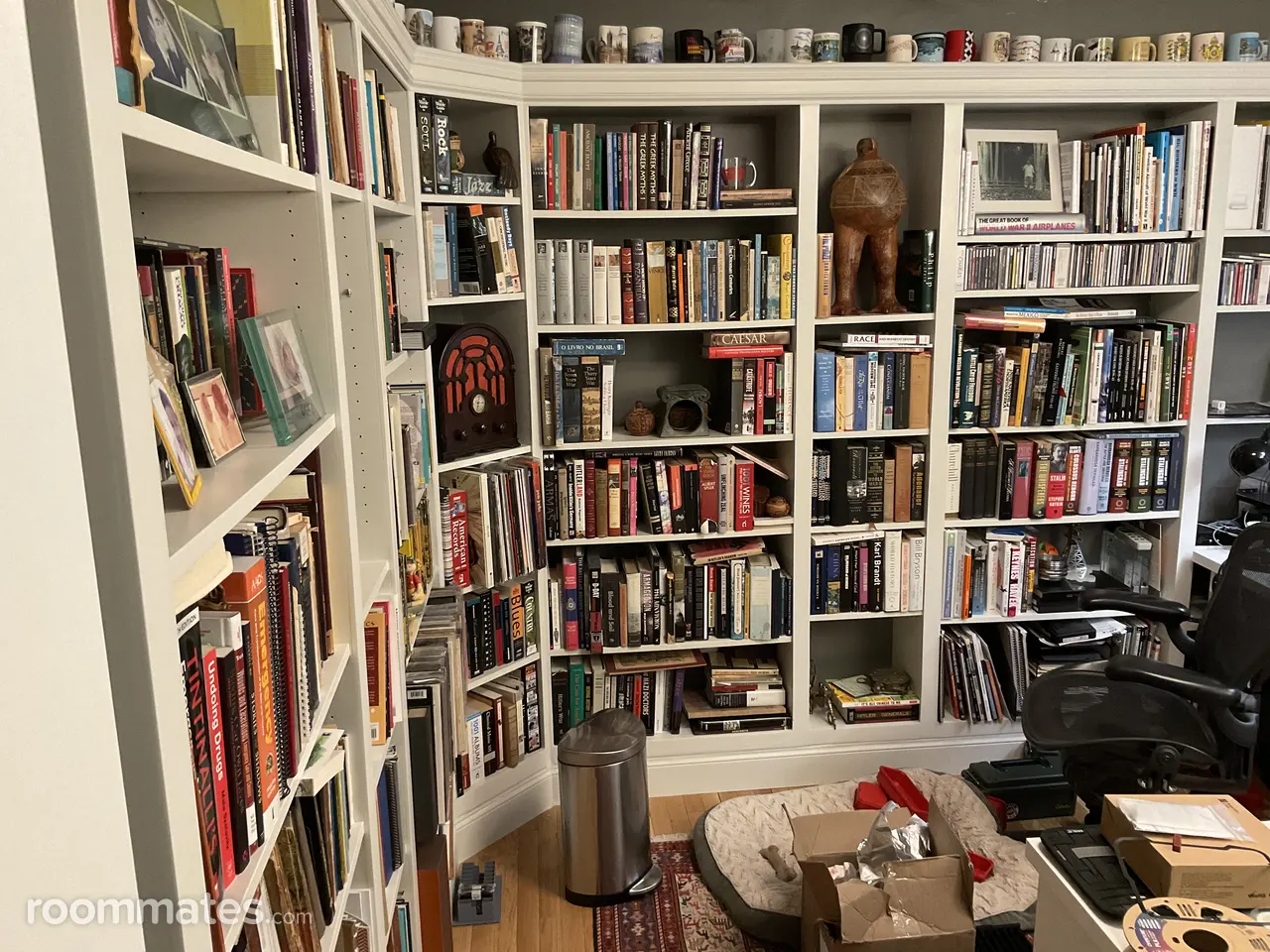 Profile photo 8 of 8