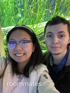 Roommate looking Union, NJ, $1800