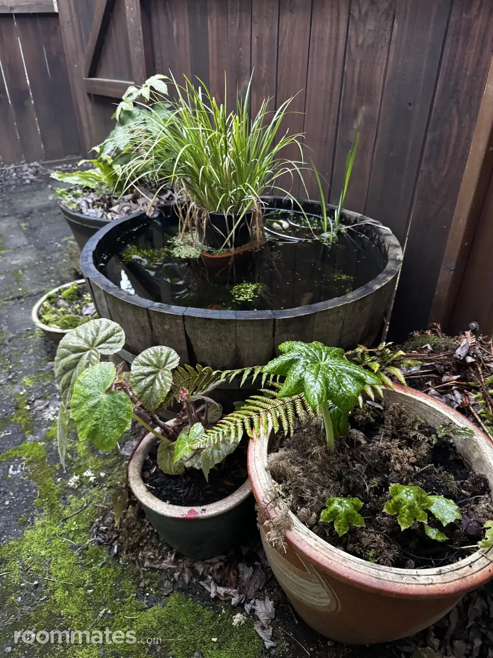 Profile photo 7 of 16