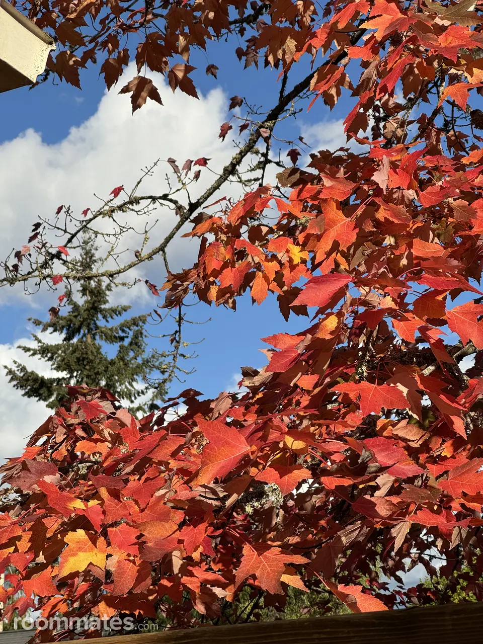 Profile photo 1 of 16