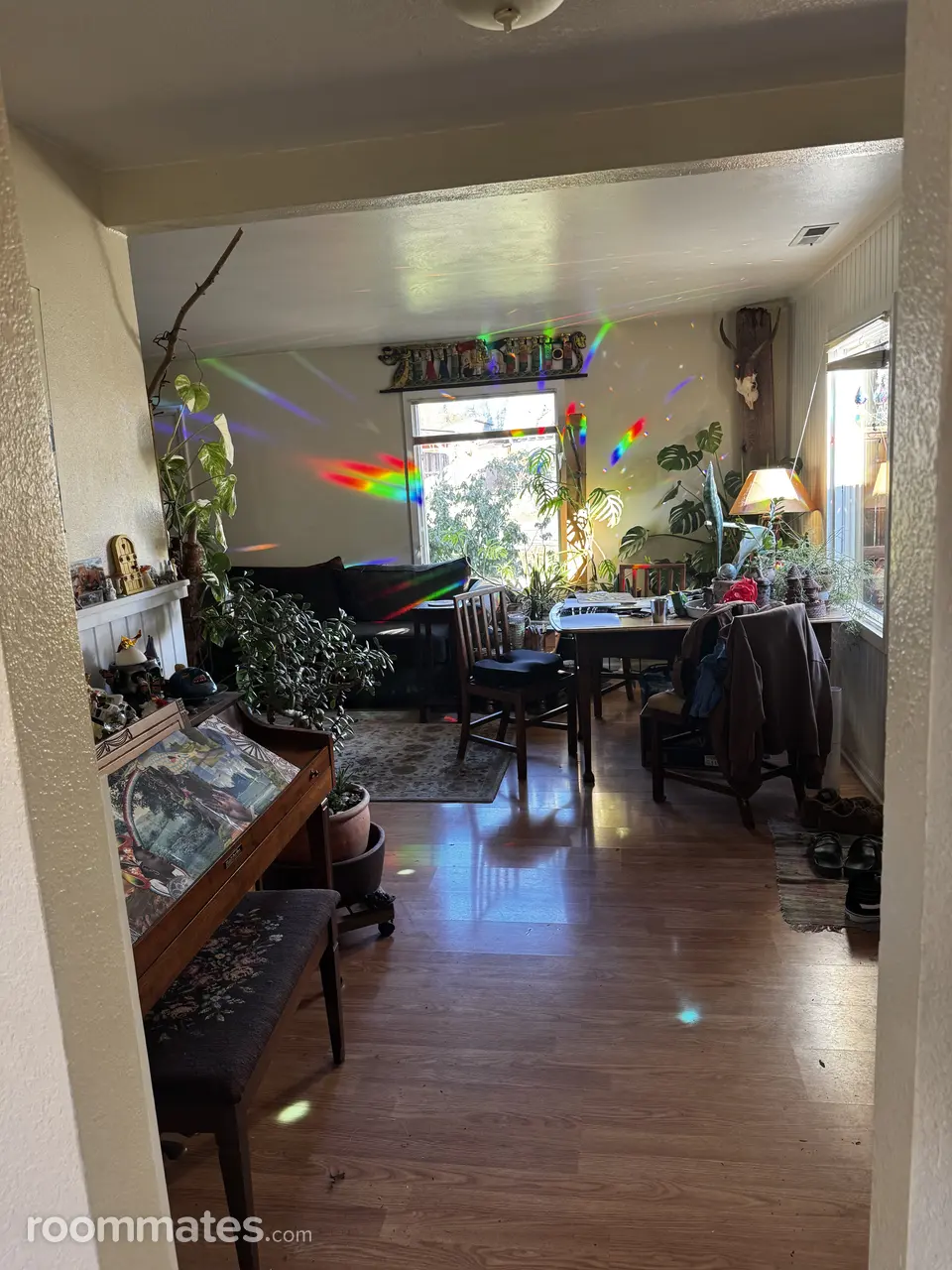 Profile photo 6 of 16