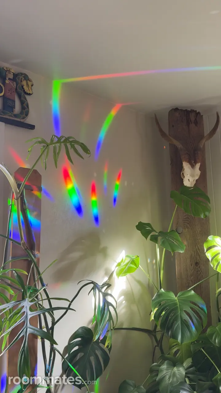 Profile photo 2 of 16