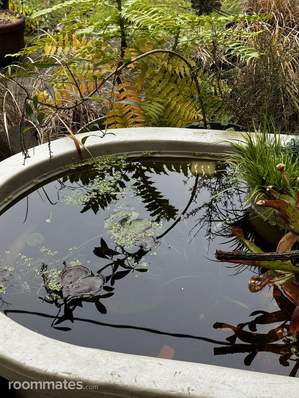 Profile photo 4 of 16