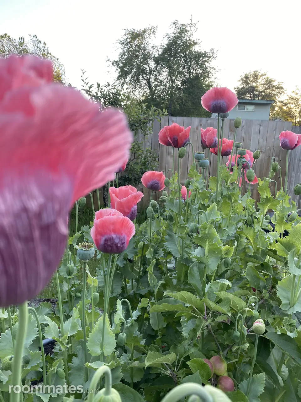 Profile photo 3 of 16