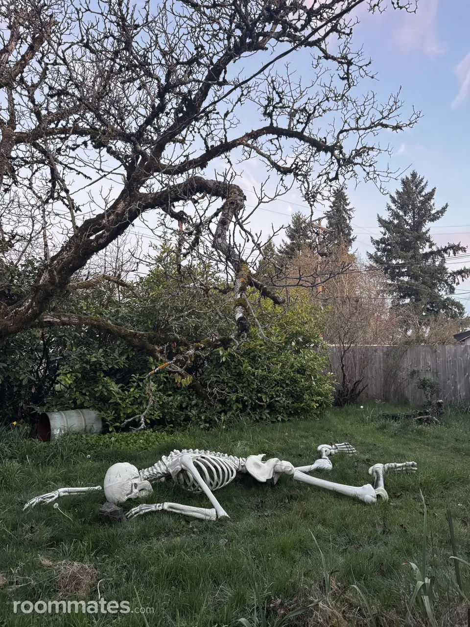 Profile photo 9 of 16