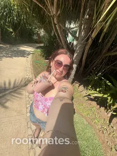 Roommate looking Ferndale, MI, $700