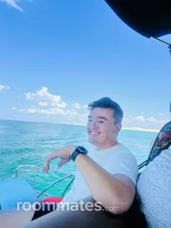 Roommate looking Irving TX, $800