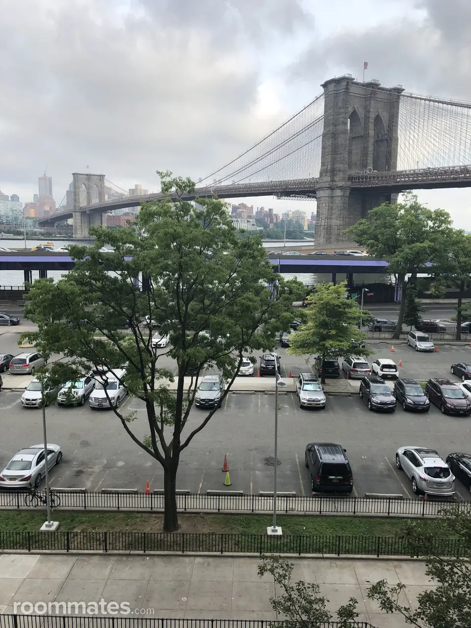 Profile photo 3 of 4