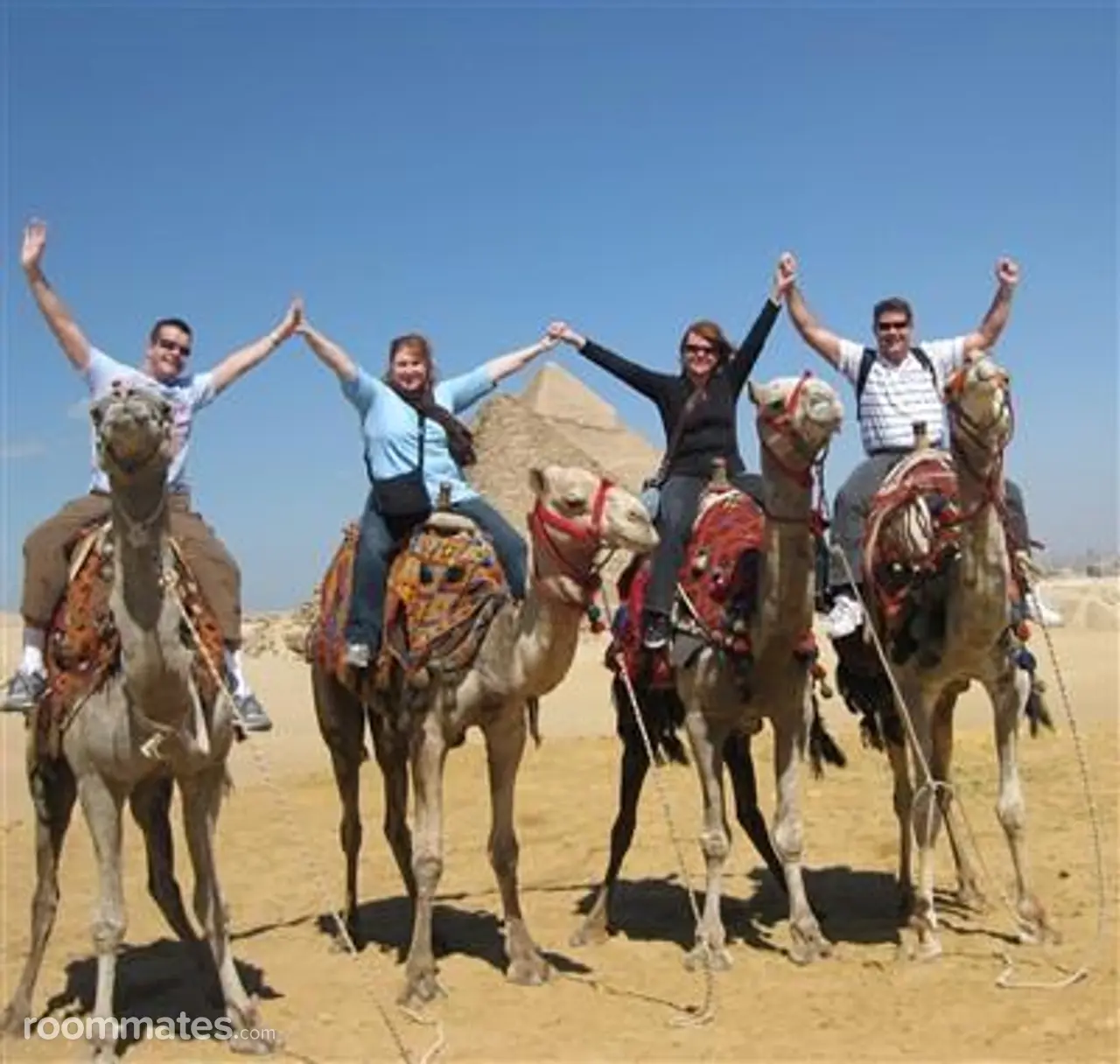 Profile photo 9 of 11