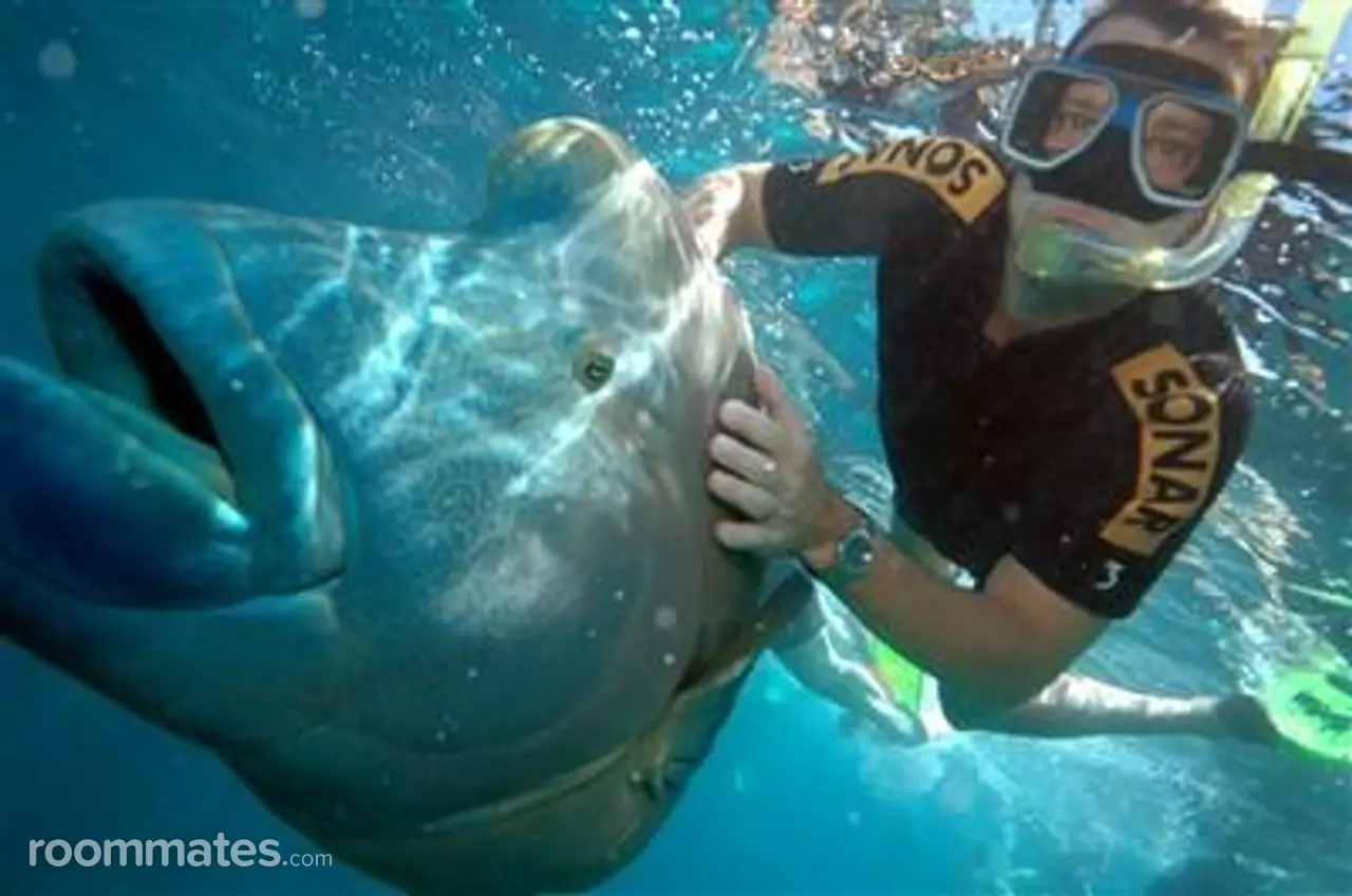 Profile photo 10 of 11