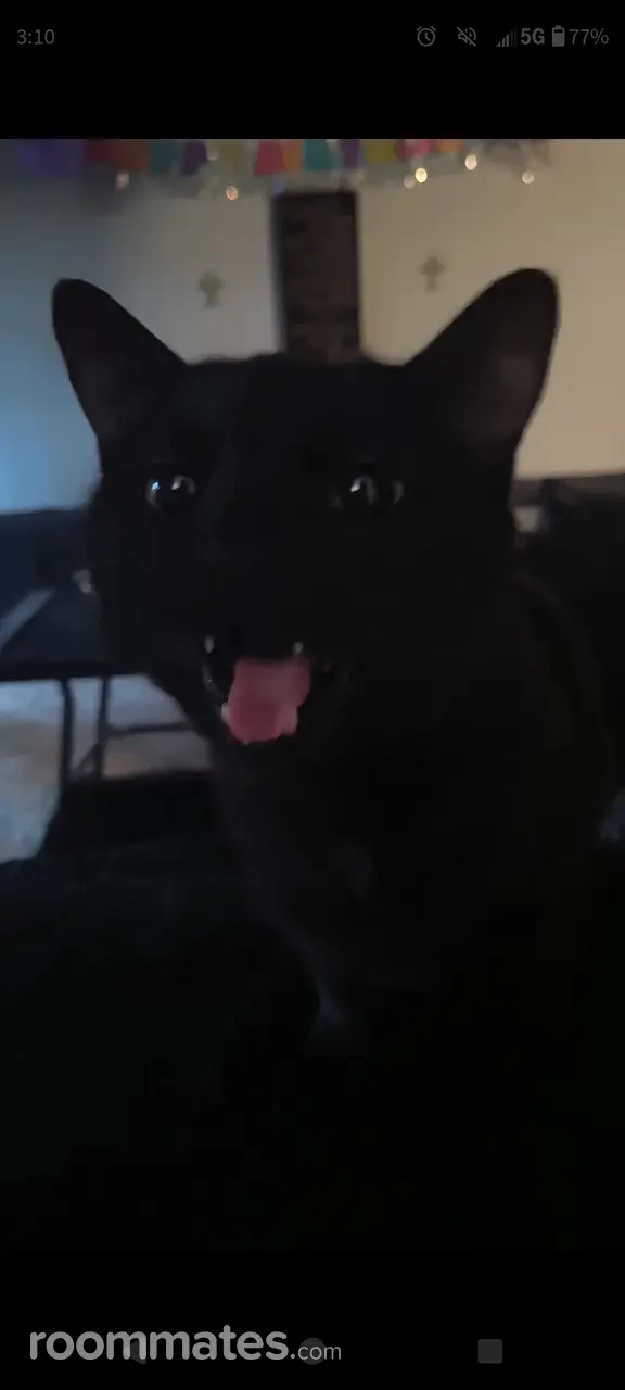 Profile photo 4 of 7