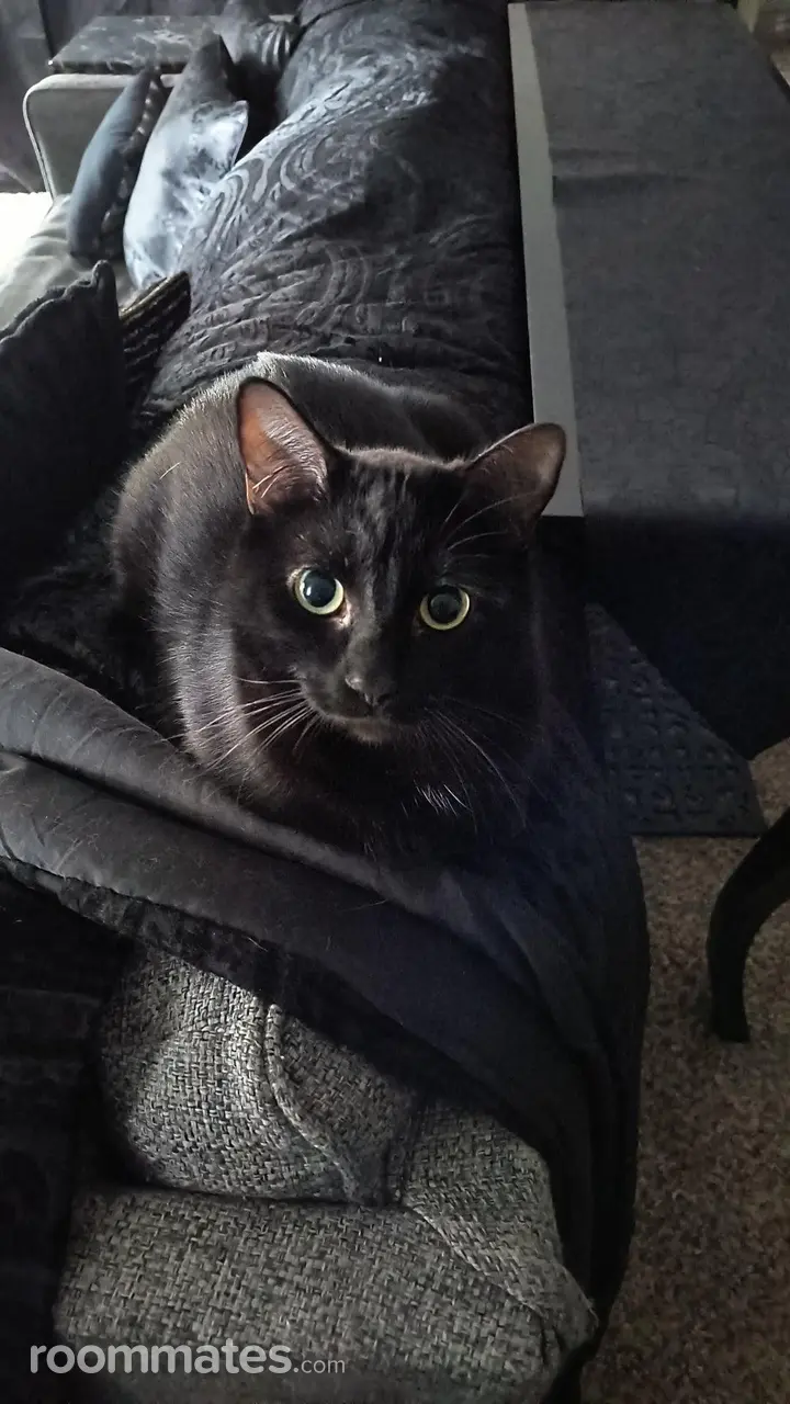 Profile photo 3 of 7