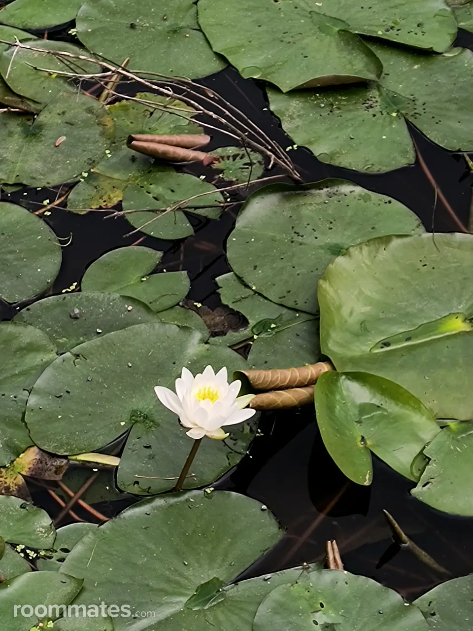 Profile photo 7 of 7