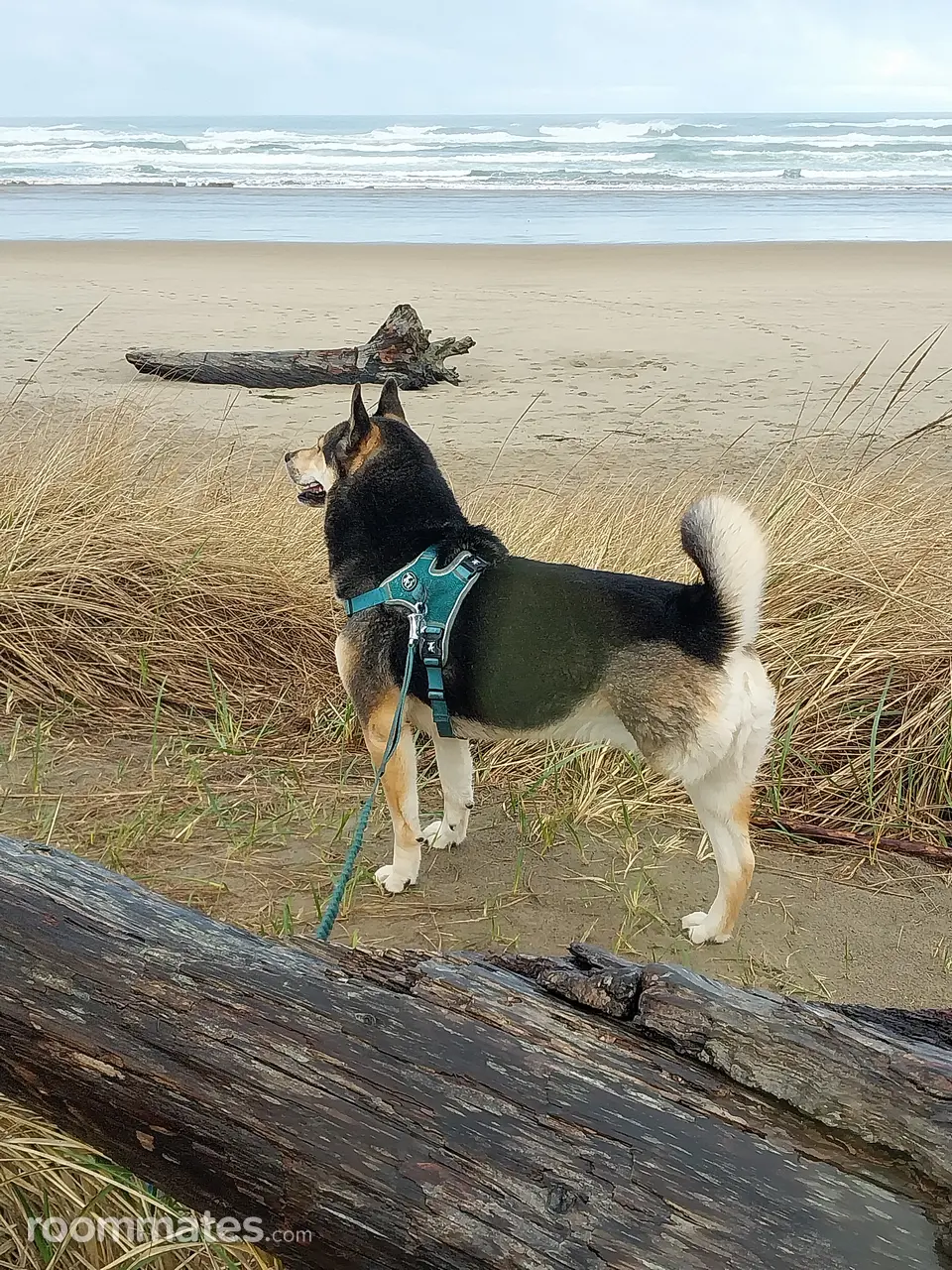 Profile photo 2 of 2