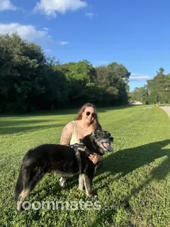 Roommate looking Harrisburg, PA, $1000