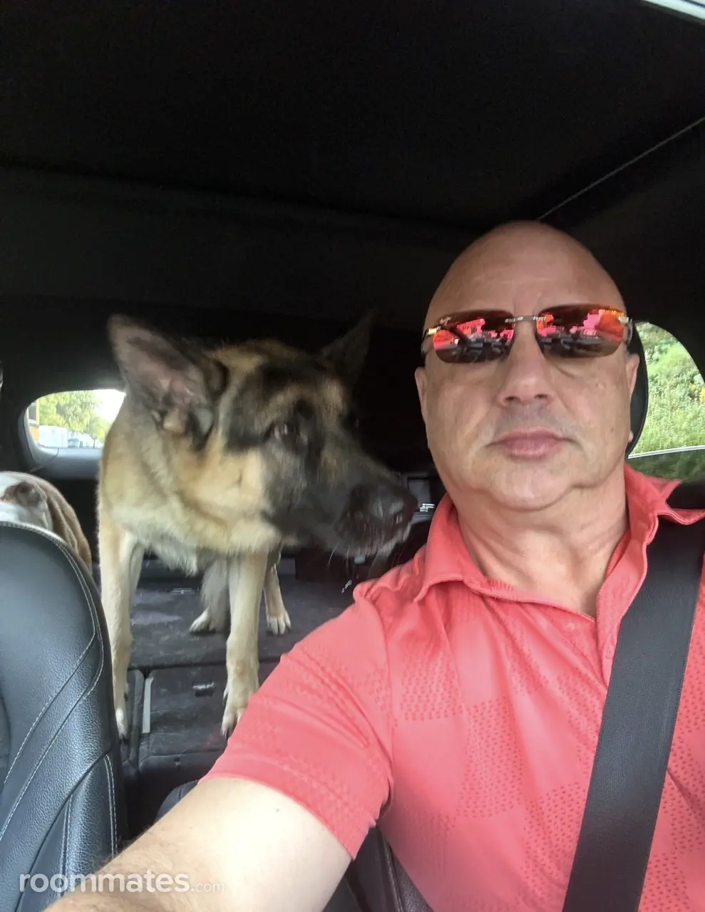 Profile photo 12 of 16