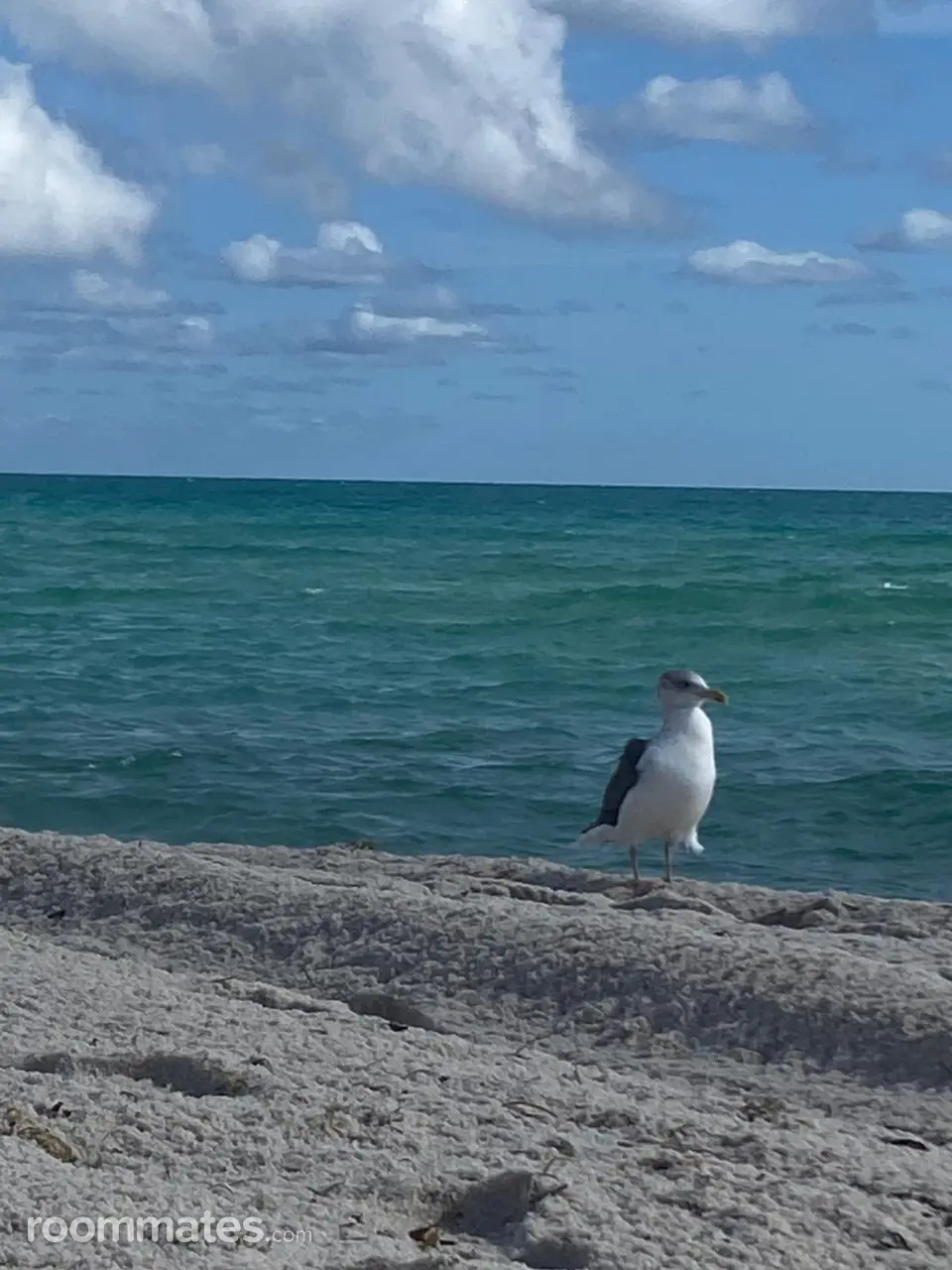 Profile photo 15 of 16